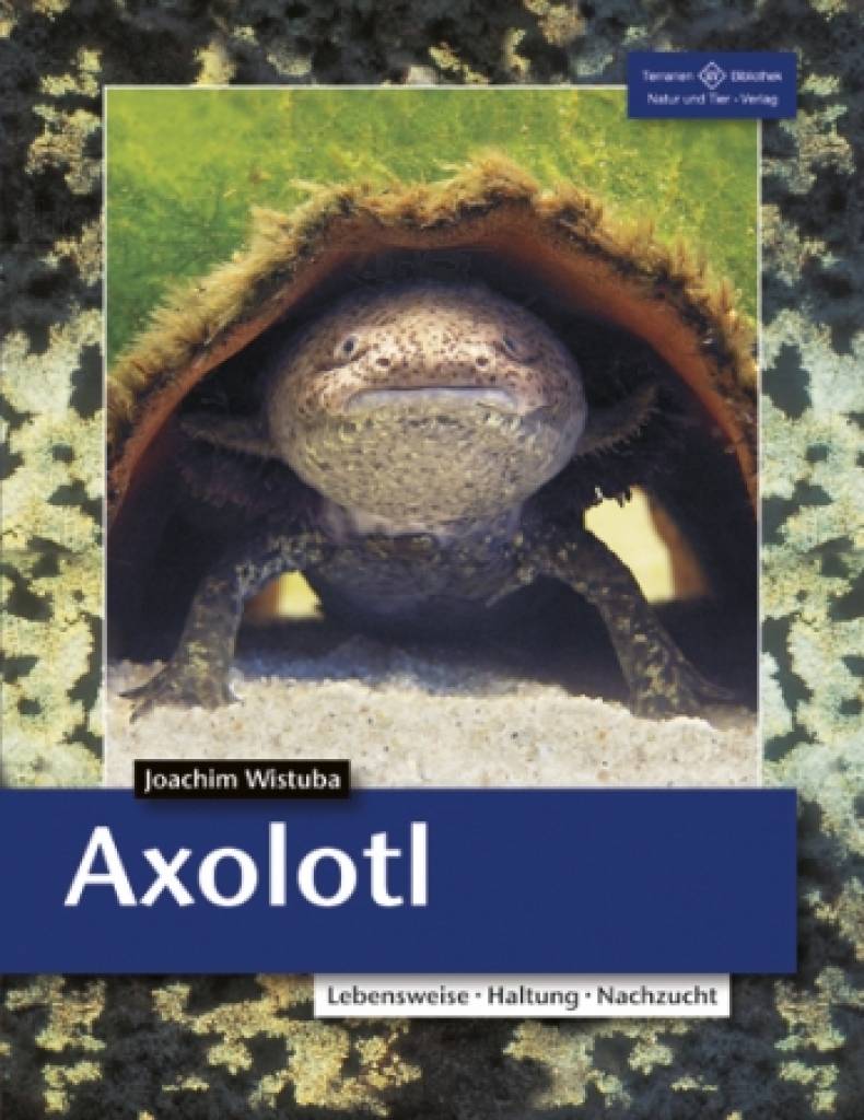 Axolotl